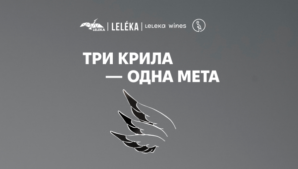 Три крила – одна мета